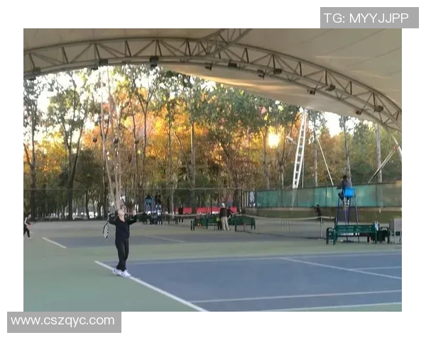 西安网球队在全国网球意识排名中创下历史新高引发广泛关注