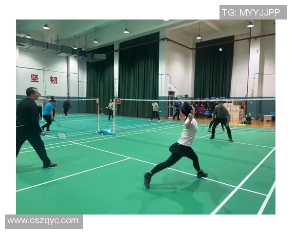 赛后分析:广州羽毛球队与南京羽毛球队技术对抗的深度剖析与启示